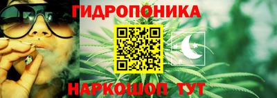 амф Анапа